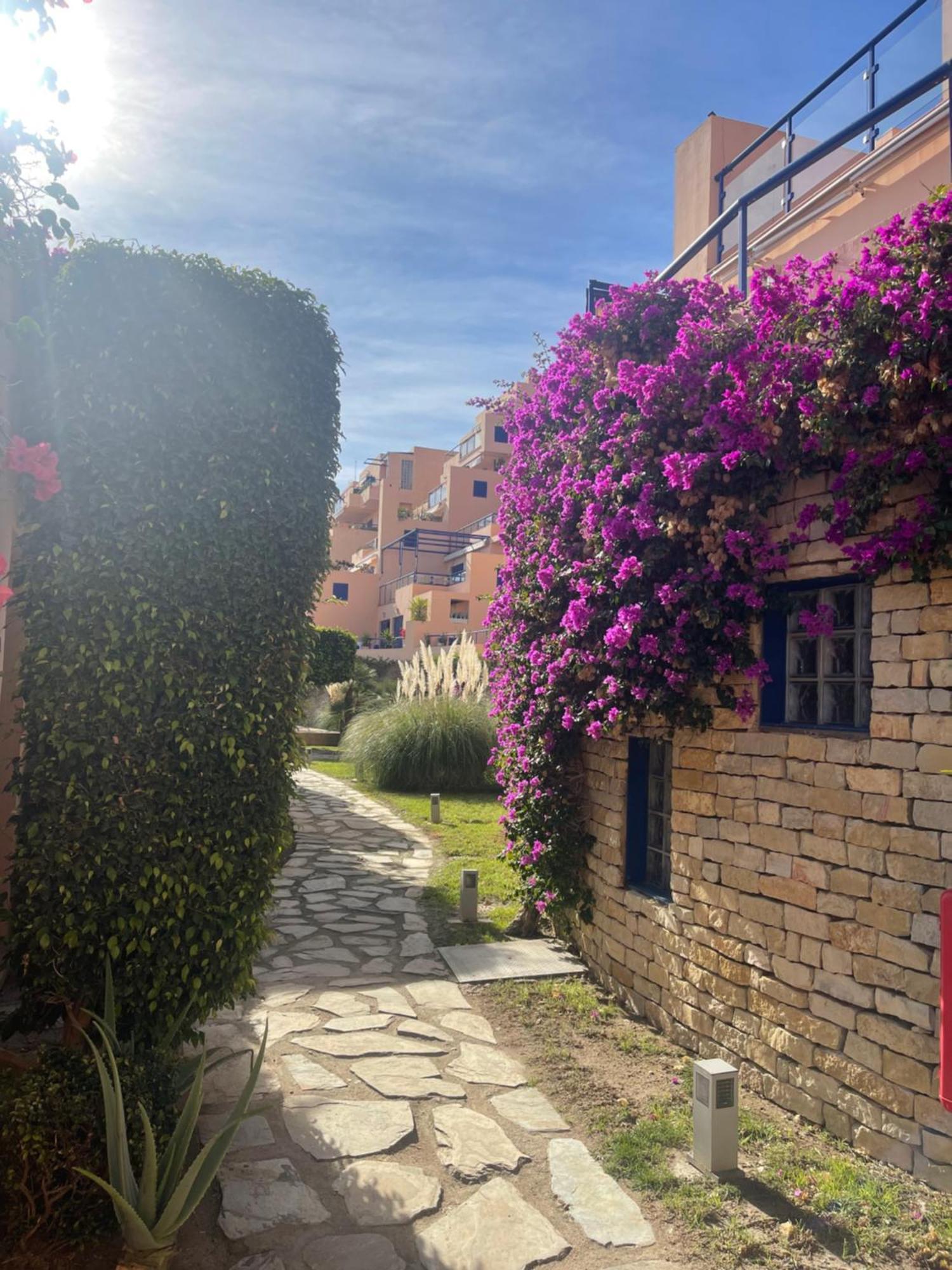Colibri Apartamentos Vista Mar Mojácar Eksteriør bilde